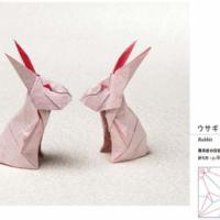 
<span>Rabbit</span>

