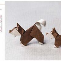 
<span>Shiba Inu</span>

