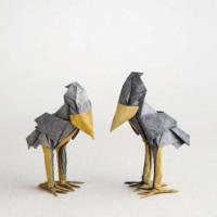 
<span>Shoebill</span>
