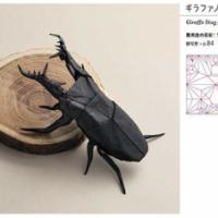 
<span>Giraffe Stag Beetle</span>
