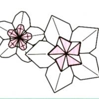 
<span>Flowers</span>
