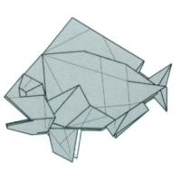 
<span>Bream fish </span>
