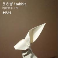 
<span>rabbit</span>
