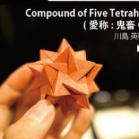 
<span>Compound of Five Tetrahedra</span>
