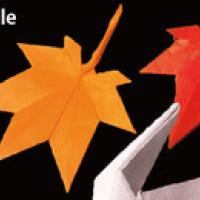 
<span>Maple</span>

