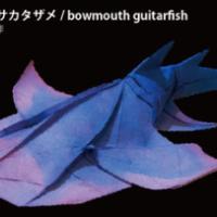 
<span>bowmouth guitarfish</span>

