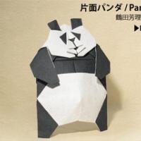 
<span>Panda</span>
