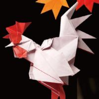 
<span>Rooster</span>
