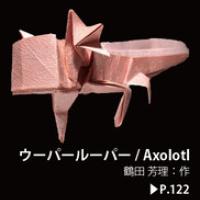 
<span>Axolotl (CP)</span>
