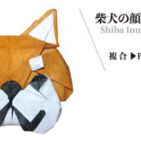
<span>Shiba Inu face</span>
