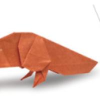 
<span>Weasel</span>
