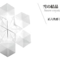 
<span>Snow crystal</span>
