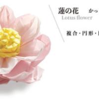 
<span>Lotus flower</span>
