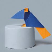 
<span>Toucan</span>
