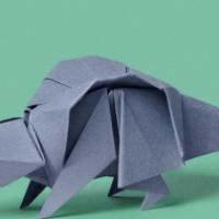 
<span>Edmontonia</span>
