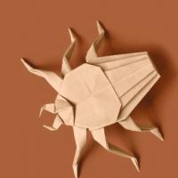 
<span>Beetle</span>
