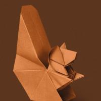 
<span>Squirrel</span>

