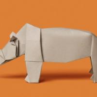 
<span>Rhinoceros </span>
