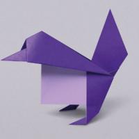 
<span>Steady bird</span>
