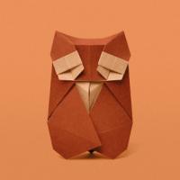 
<span>Owl</span>
