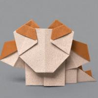 
<span>Baby dragon</span>
