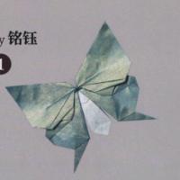 
<span>Butterfly</span>
