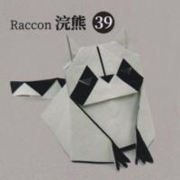 
<span>Raccoon</span>
