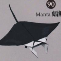 
<span>Manta fiish</span>
