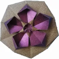
<span>Petunia star</span>
