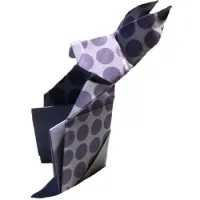 
<span>Rabbit messenger </span>
