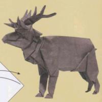 
<span>Red Deer</span>
