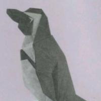 
<span>African Penguin</span>
