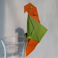 
<span>Perching Parrot</span>
