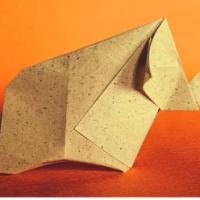 
<span>Elephant </span>

