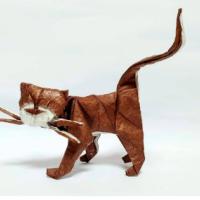 
<span>Cat</span>
