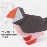 
<span>Horned Puffin</span>
