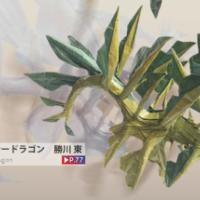
<span>Leafy Sea Dragon (CP)</span>
