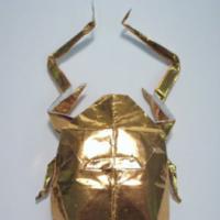 
<span>Jambar Giant Scarab</span>

