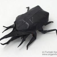 
<span>Neptune Giant Beetle</span>
