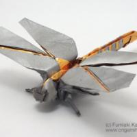 
<span>Golden Ringed (Anotogaster) Dragonfly</span>
