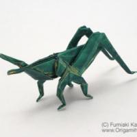
<span>Japanese Giant Grasshopper</span>
