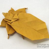 
<span>Leaf Insect</span>
