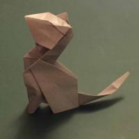 
<span>15°-Cat 2007</span>
