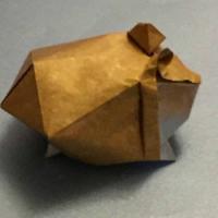 
<span>Hamster</span>
