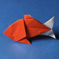 
<span>Fish</span>
