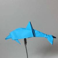 
<span>Dolphin</span>
