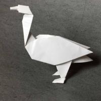 
<span>Goose</span>
