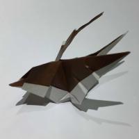 
<span>3D Sparrow</span>
