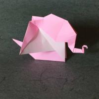 
<span>Elephant</span>
