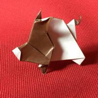 
<span>Boar</span>
